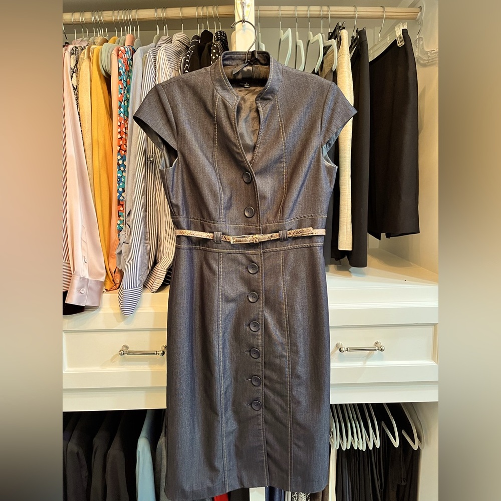 Sandra Darren Lined Dress, Looks Black, Fitted, Buttons in front, Sz 6, Like New